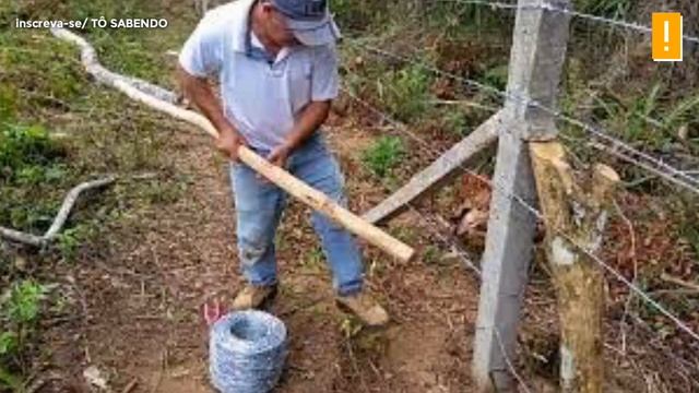 Como SOBREVIVER a um APOCALIPSE ZUMBI - Área Zumbi смотреть онлайн