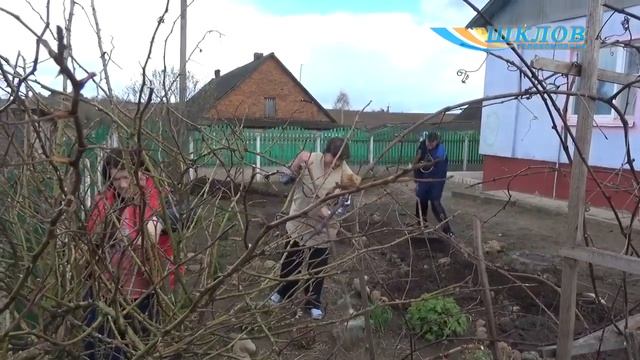Ольга Шепелева – обладатель пенсионного удостоверения за особые заслуги перед Республикой Беларусь. смотреть онлайн