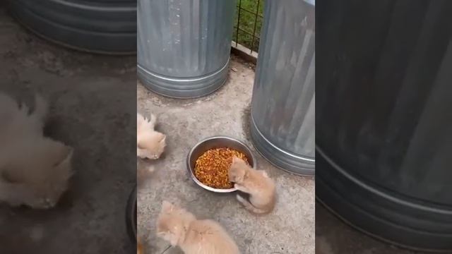 Это все мое! смотреть онлайн