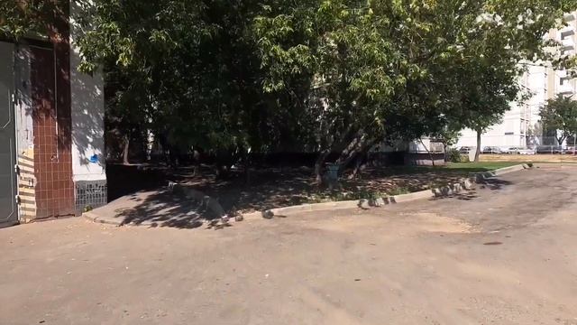 Часть 1. Пешком до Останкинской телебашни/Москва глазами пешехода. смотреть онлайн