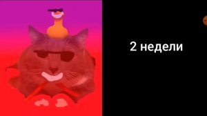 до летних каникул осталось(радостные лица Лоткова)