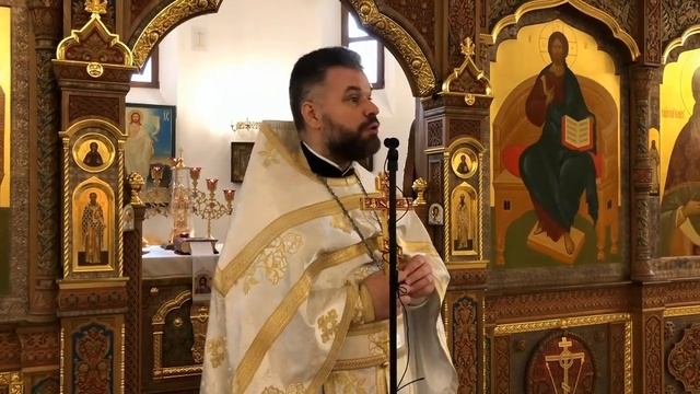 Обращение настоятеля храма отца Димитрия. 25 января 2020 г. смотреть онлайн