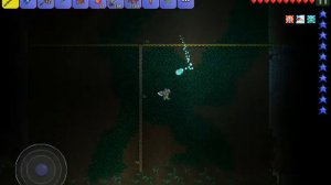 Ферма мимиков в Terraria