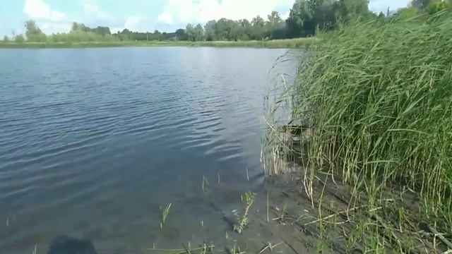 SUMMER DIARIES:Встречаю рассвет/купаюсь на озере. смотреть онлайн