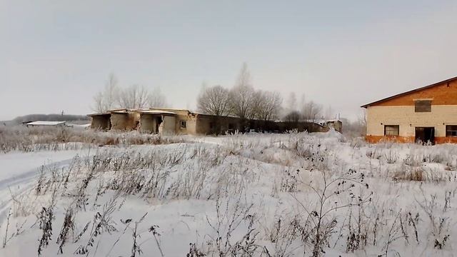 Состояние сельского хозяйства России в регионах. Почему люди уезжают в города? Наглядный ответ. смотреть онлайн