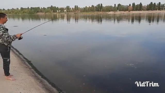 Микруха в деле. смотреть онлайн