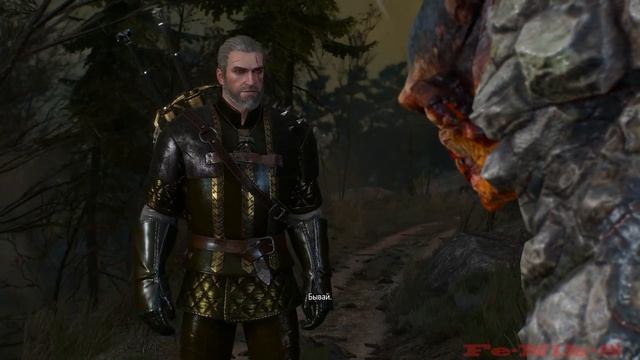 The Witcher 3 Wild Hunt (27) Смертельный заговор смотреть онлайн