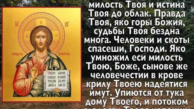 СЕГОДНЯ ОБЯЗАТЕЛЬНО ПРОЧТИ! ПРОСИ ЗДОРОВЬЯ НА ГОД! Молитва смотреть онлайн