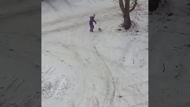 И снова Хабаровск и снова издевательство над животным!!! смотреть онлайн