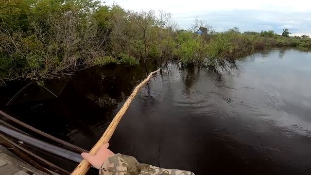 Рыбалка на паук! Пауки трещат от Сибирских сазанов! Рыбалка 2022! смотреть онлайн