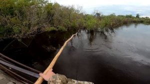 Рыбалка на паук!  Пауки трещат от  Сибирских сазанов! Рыбалка 2022!