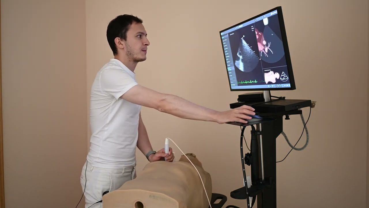 Трансторакальная эхокардиография (сдаём аккредитацию) смотреть онлайн