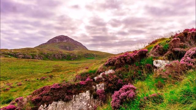 Variations on an Ancient Irish Theme Performed by DelPhi Consort смотреть онлайн