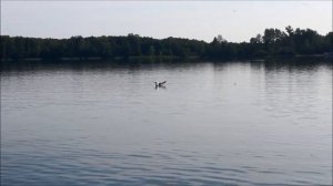 Иткуль, удачная рыбалка