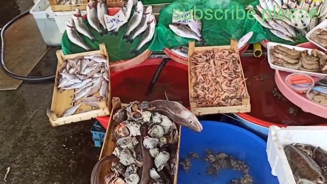 Fish Market. Istanbul. Kumkapi.সামুদ্রিক মাছের বাজার। ইস্তাম্বুল তুরস্ক।