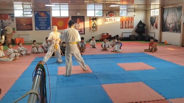KWF karate ?? sparring session Alexander & Ali #arifloyanov #bishkek #youtube #kyokushin #instagram смотреть онлайн