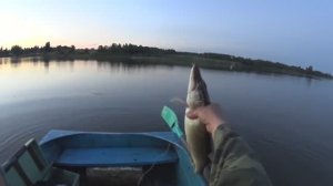 Ловля линя в мережи и щуки на живца. Неторопливая рыбалка. Часть 1