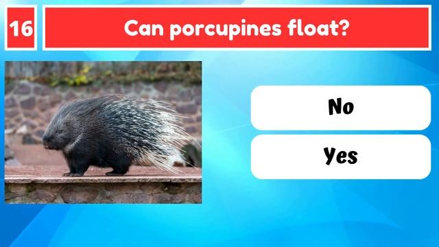 Can you Answer These 30 Mixed Trivia Quiz Questions | Quiz Time |Quiz Channel |#Quiz |Donut Trivia смотреть онлайн
