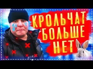 Жесть Крольчат Больше Нет !!! / Готовим Камчатского Огромного Краба в Русской Печи