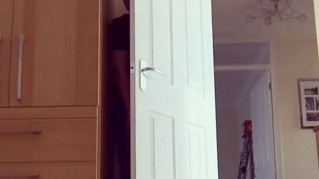 Парень троллит свою собаку смотреть онлайн