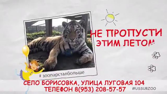 Зоопарк "Чудесный" стал больше! смотреть онлайн