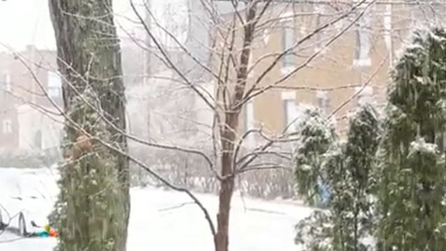 ЗИМА. Красивейшая песня. смотреть онлайн