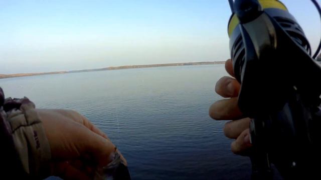 осенняя охота с отводным за окунем... Десногорское водохранилище смотреть онлайн