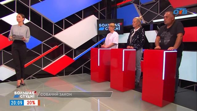 24.05.23 Большая студия. Тема "Бродячие собаки. Как решить этот вопрос? смотреть онлайн
