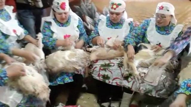 Ирекледэ каз омэсе смотреть онлайн