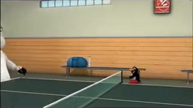 бернард- Table Tennis Настольный теннис) смотреть онлайн