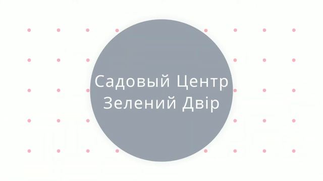 Садовый Центр Зелений Двір - Ирга Ламарка с ОТК h 80 смотреть онлайн