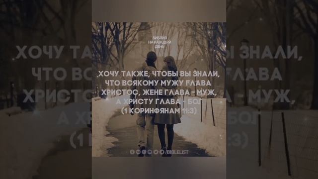 Добрый вечер! смотреть онлайн