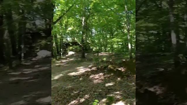 Дольмены р.Пшада смотреть онлайн