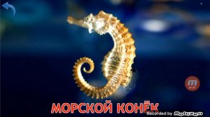 Мир воды номер 6!