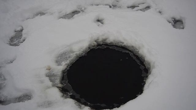 Форель в пруду зимой смотреть онлайн