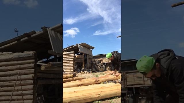 Как шкурить сосну ??