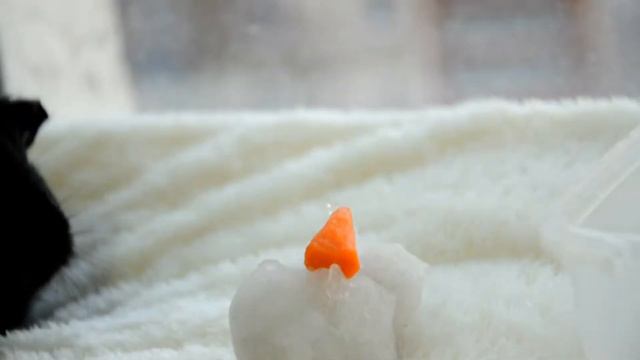 СНЕГ?! РЕАКЦИЯ МОРСКИХ СВИНОК НА СНЕГ❄️ И СНЕГОВИКА⛄️!/SvinkiStar смотреть онлайн