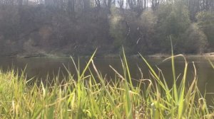 РАДОНИЦА традиции и обычаи