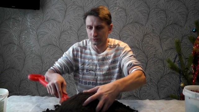 Почвенная смесь, грунт для цитрусов смотреть онлайн