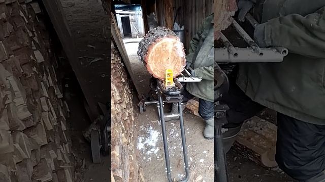 31 октября 2022 г. смотреть онлайн