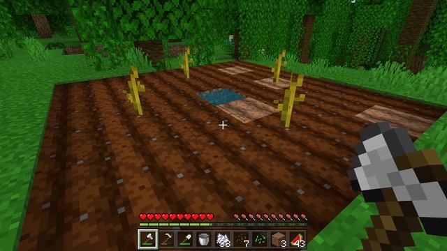 Как вырастить тростник, бамбук, водоросли, какао-бобы, арбуз, тыкву и гигантские деревья в Майнкраф смотреть онлайн