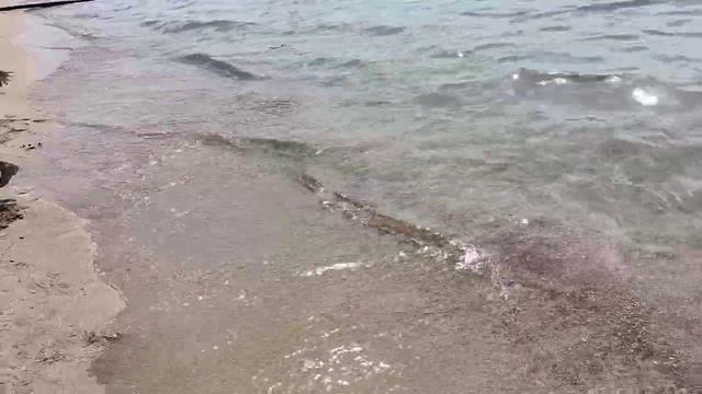 Великолепная среда 18 августа 2021. Евпатория. Пляж Лазурный Берег. Крым. смотреть онлайн