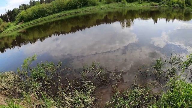 ЖЕРЕХ на Ультралайт! ЛЕЩ на Спиннинг! Рыбалка в Беларуси 2020. река Днепр. смотреть онлайн