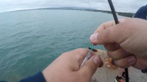 Ставрида на самодур в мае) рыбалка на море в Геленджике!