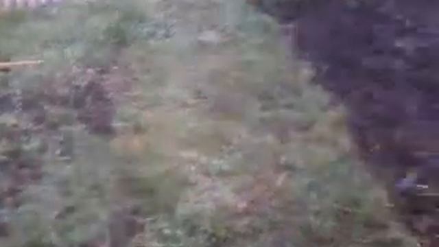 Снег в апреле смотреть онлайн