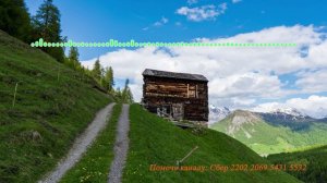 Тамара Джабраилова - Аркьули г!ямру 2024