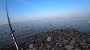 Рыбалка на морского червя. Ловим пиленгаса.