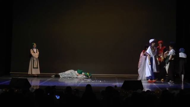 Magi: The Labyrinth of Magic (cosplay mini-action) смотреть онлайн