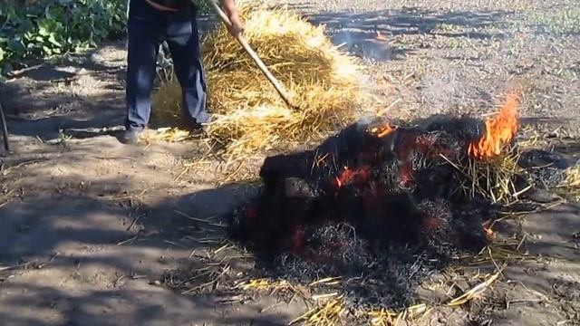 как осмалить кабана соломой.as osmality boar with straw смотреть онлайн