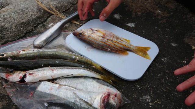 Eat What you Catch - Ultra Light Fishing Ajing Game Part 1 смотреть онлайн